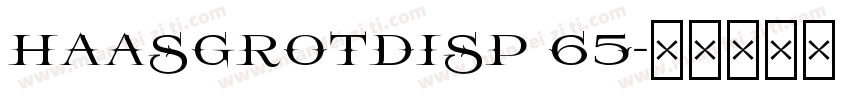 haasgrotdisp 65字体转换